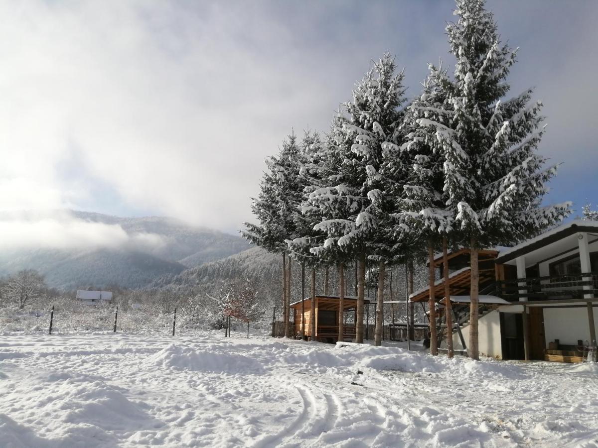 Alpinlife Ξενοδοχείο Dejani Εξωτερικό φωτογραφία